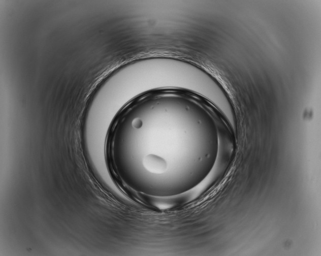 X0000098150297200804171619
