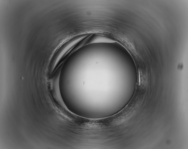 X0000098150300200804171619