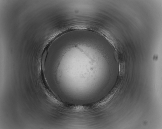 X0000098150301200804171619