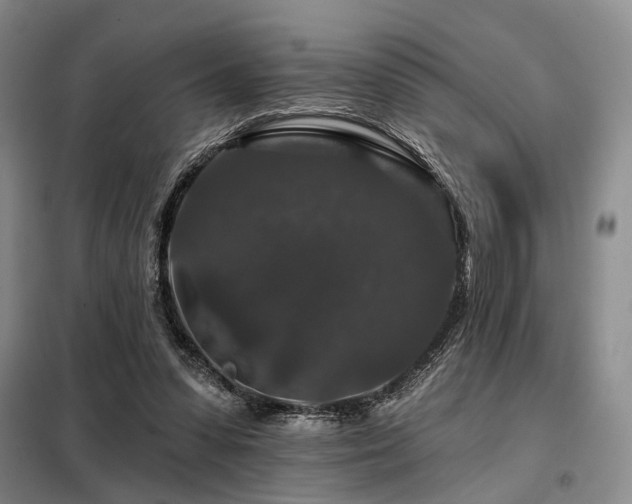 X0000098150303200804171619
