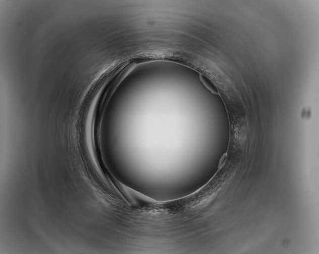 X0000098150304200804171619