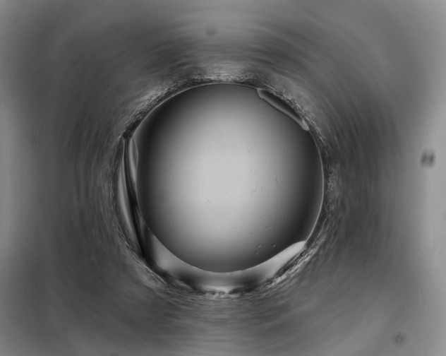 X0000098150305200804171619