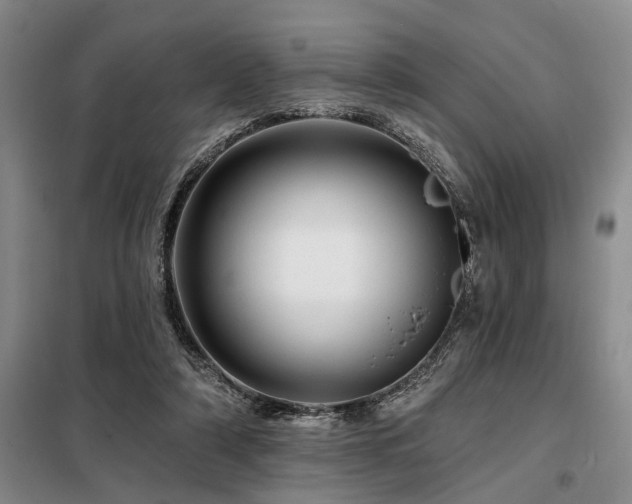 X0000098150306200804171619
