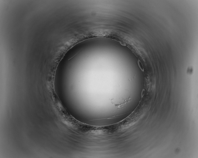 X0000098150307200804171619