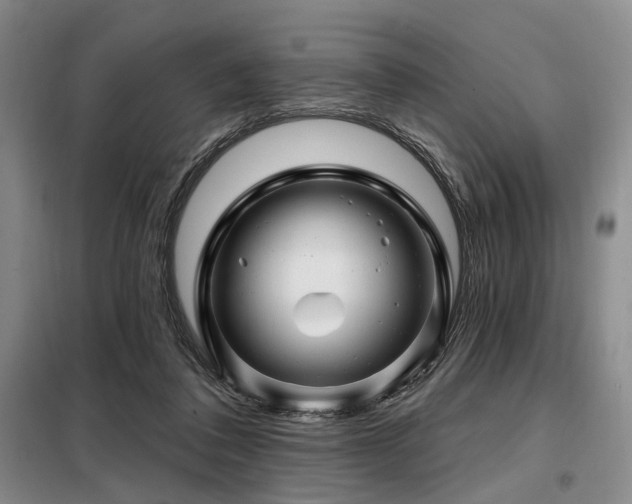 X0000098150308200804171619