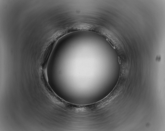 X0000098150309200804171619