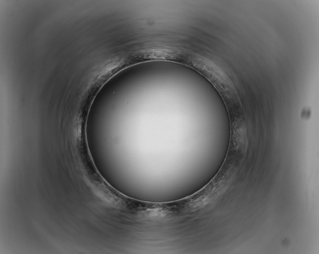 X0000098150310200804171619