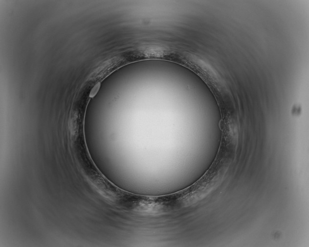 X0000098150311200804171619