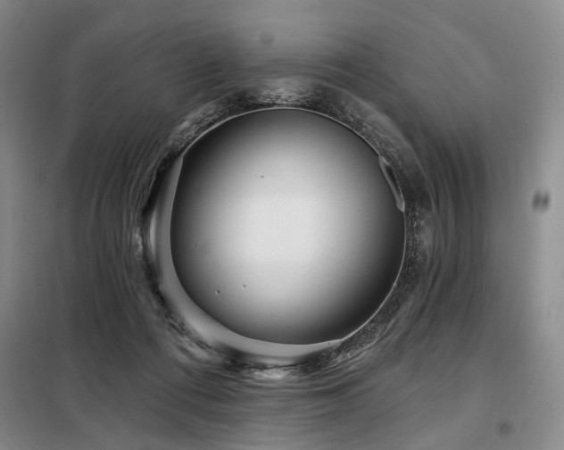 X0000098150312200804171619