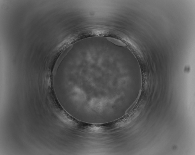 X0000098150313200804171619