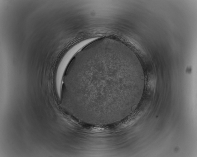 X0000098150315200804171619