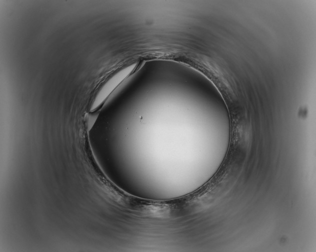 X0000098150317200804171619