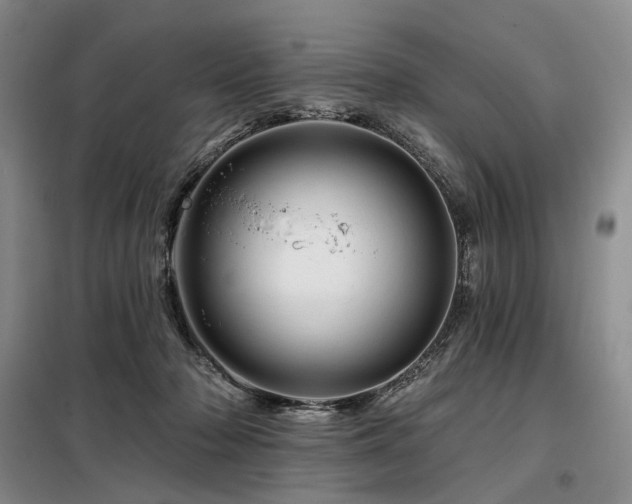 X0000098150318200804171619