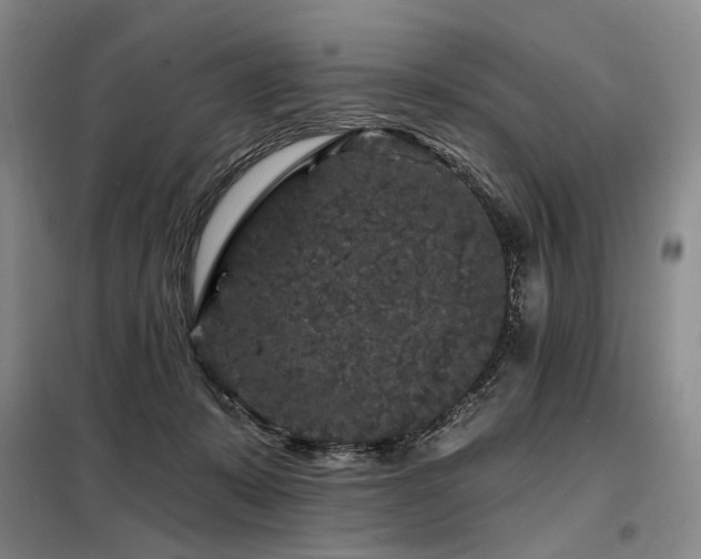 X0000098150319200804171619