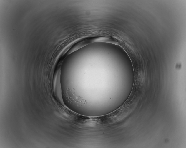 X0000098150320200804171619