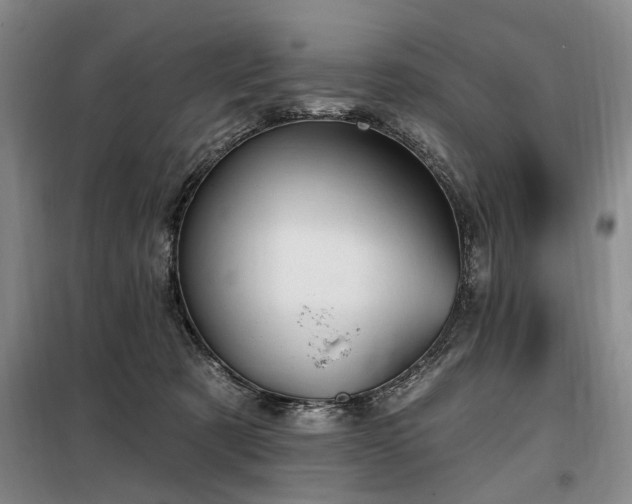 X0000098150321200804171619