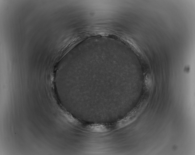 X0000098150322200804171619