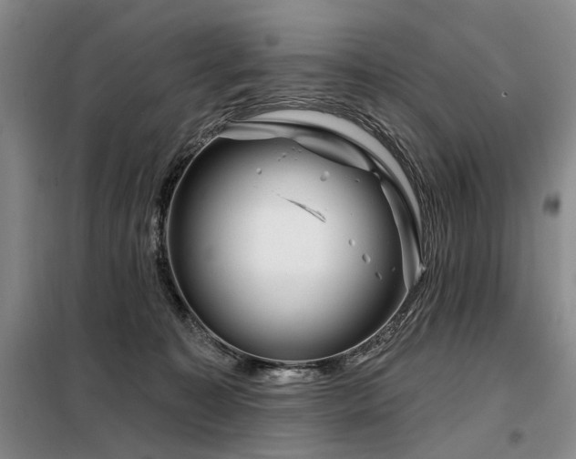 X0000098150323200804171619