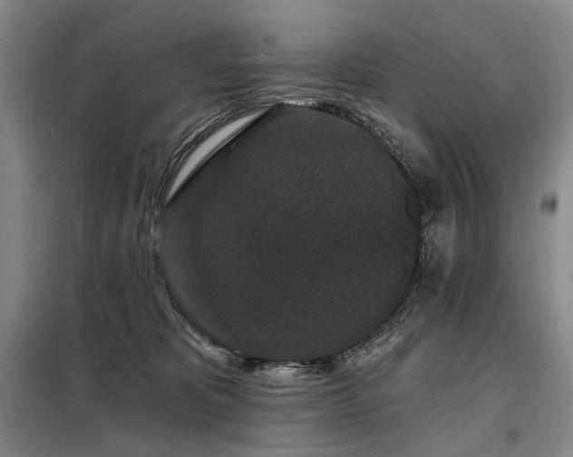 X0000098150325200804171619