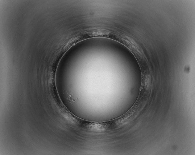 X0000098150326200804171619