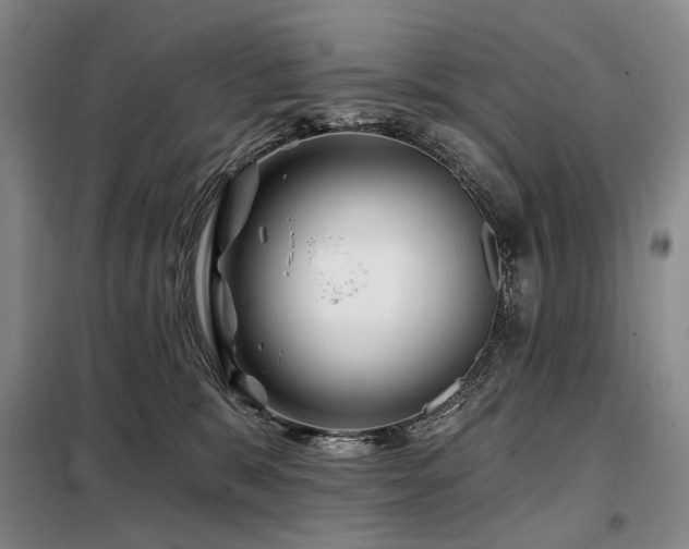 X0000098150327200804171619
