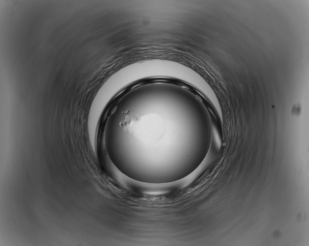 X0000098150328200804171619