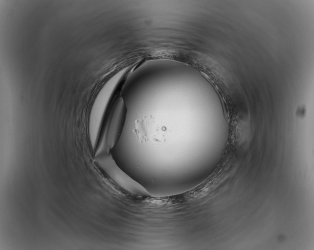 X0000098150329200804171619