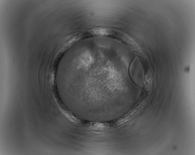 X0000098150330200804171619