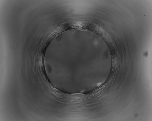 X0000098150331200804171619