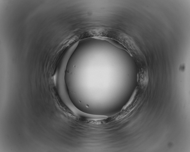 X0000098150332200804171619