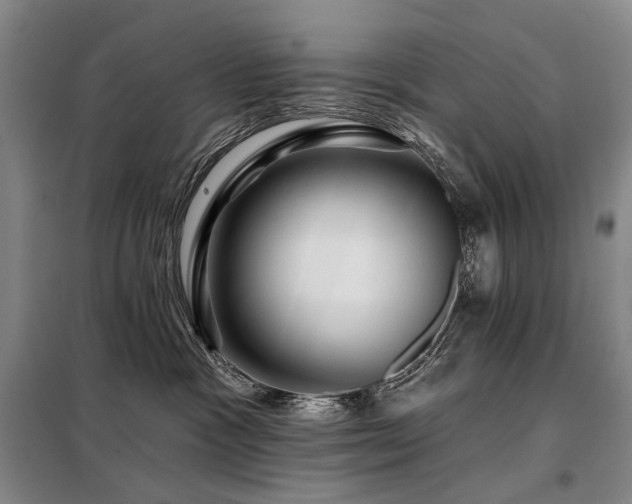 X0000098150333200804171619
