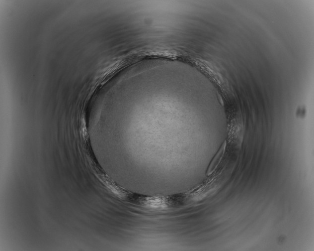 X0000098150335200804171619