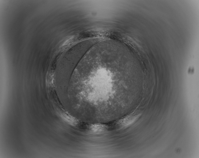 X0000098150336200804171619