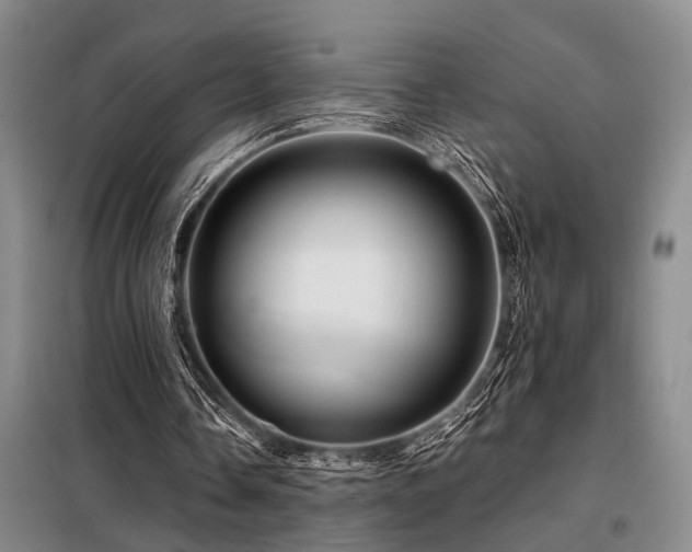 X0000098150338200804171618