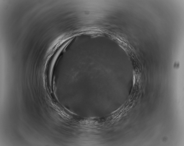X0000098150339200804171618