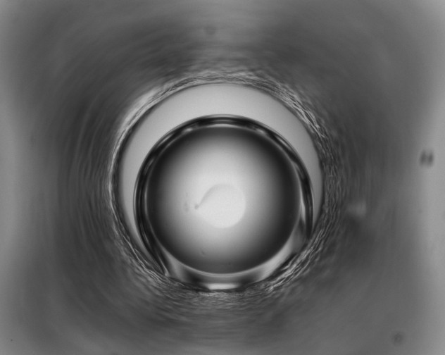 X0000098150340200804171618