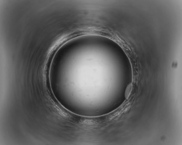 X0000098150341200804171618