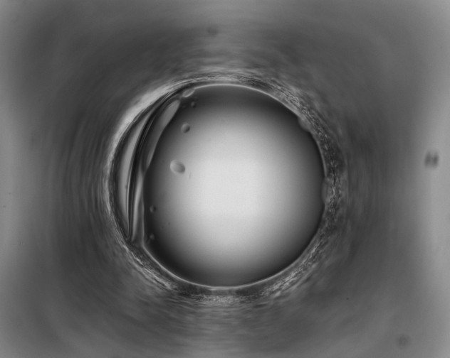 X0000098150342200804171618