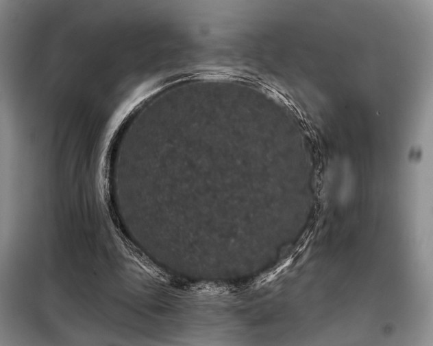 X0000098150343200804171618
