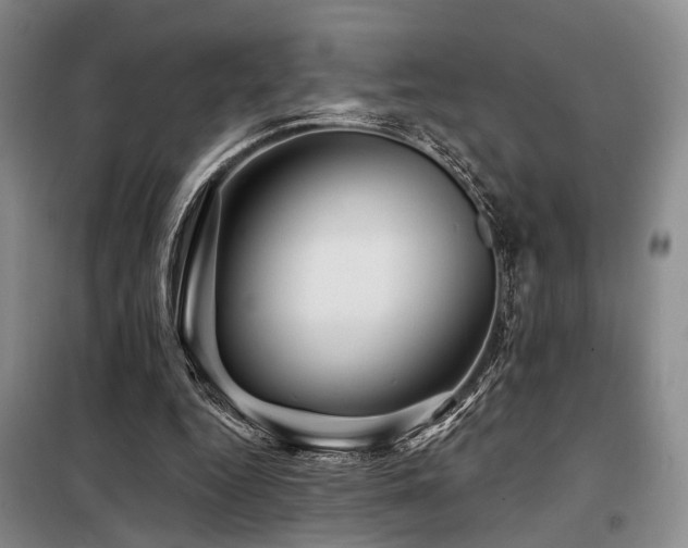 X0000098150344200804171618
