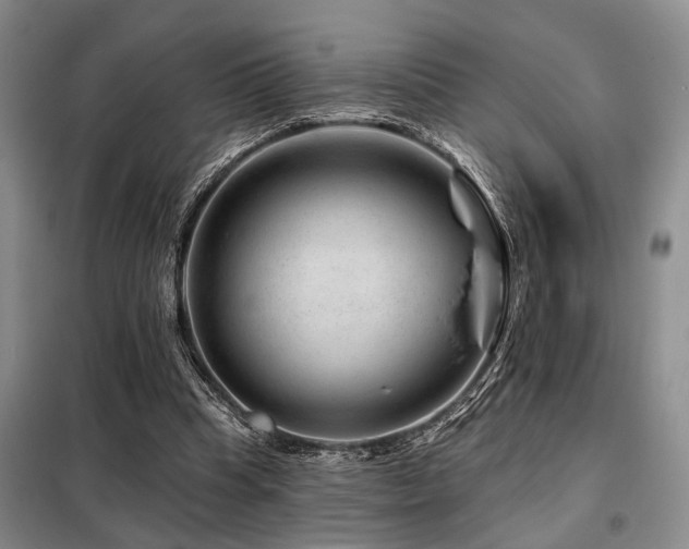 X0000098150345200804171618