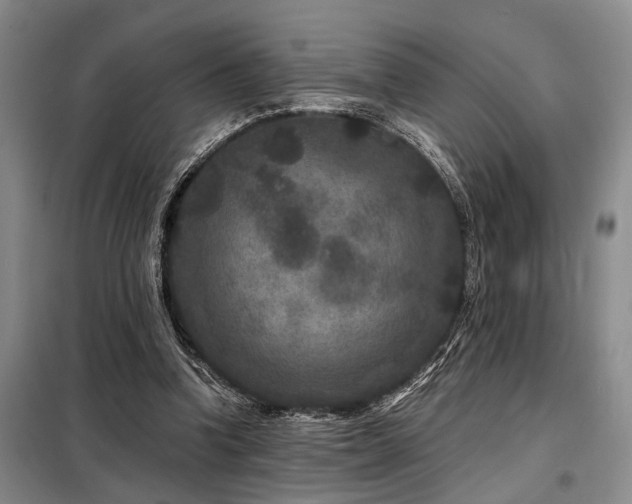 X0000098150346200804171618