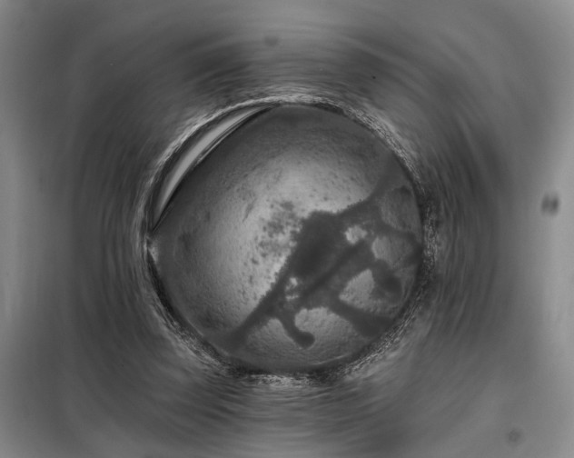 X0000098150347200804171618