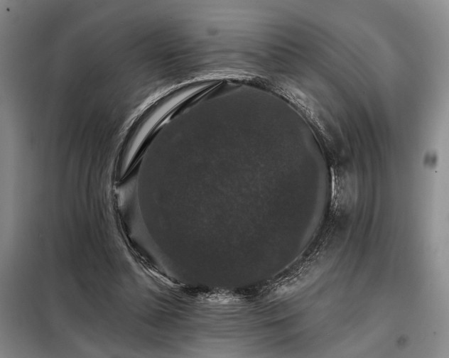 X0000098150348200804171618