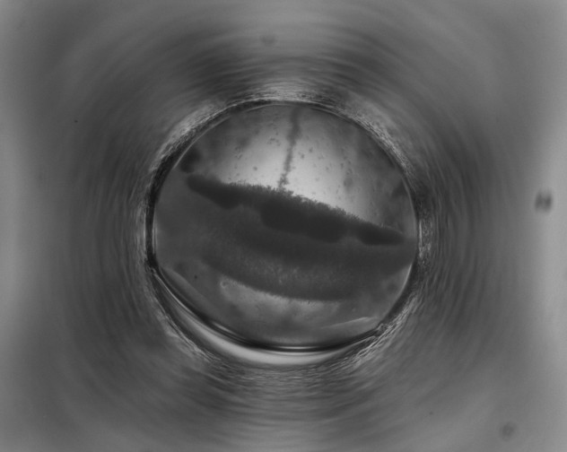 X0000098150349200804171618