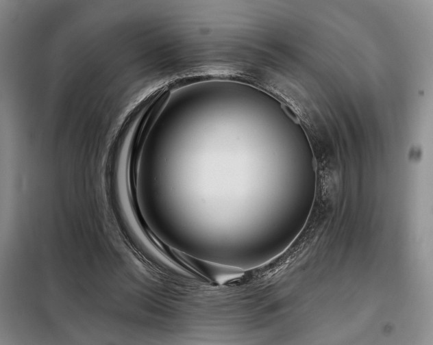 X0000098150350200804171618