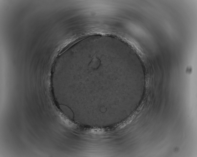 X0000098150353200804171618