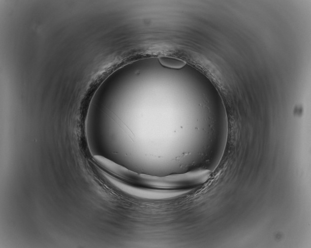 X0000098150354200804171618