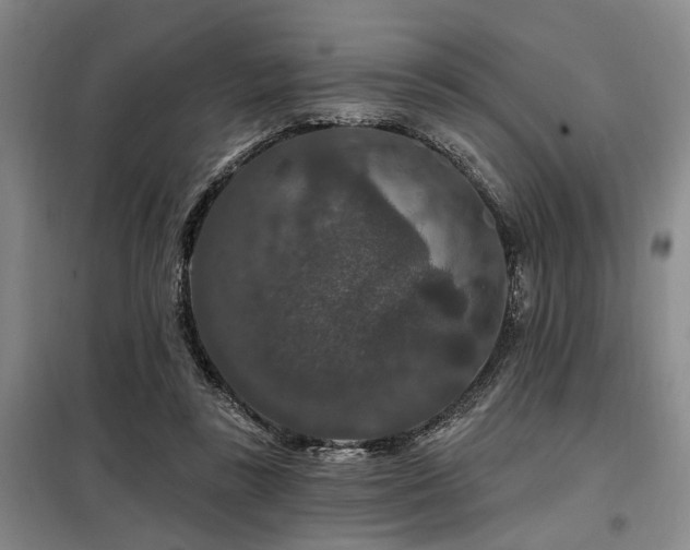 X0000098150355200804171618
