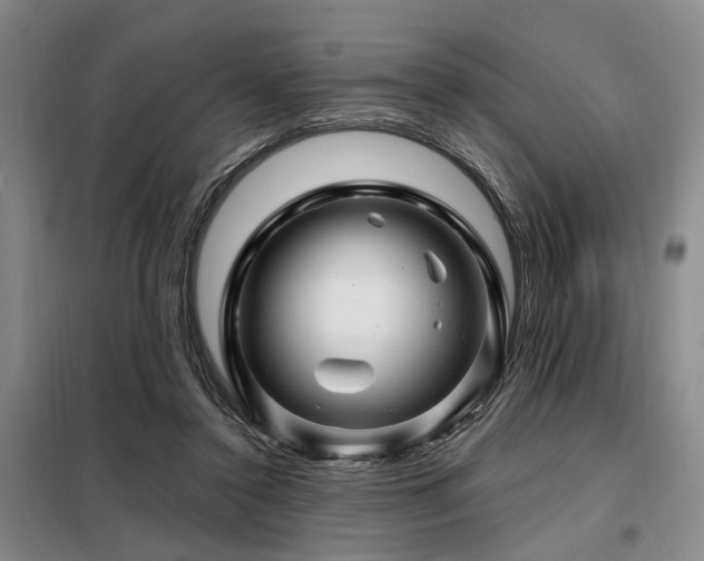 X0000098150356200804171618